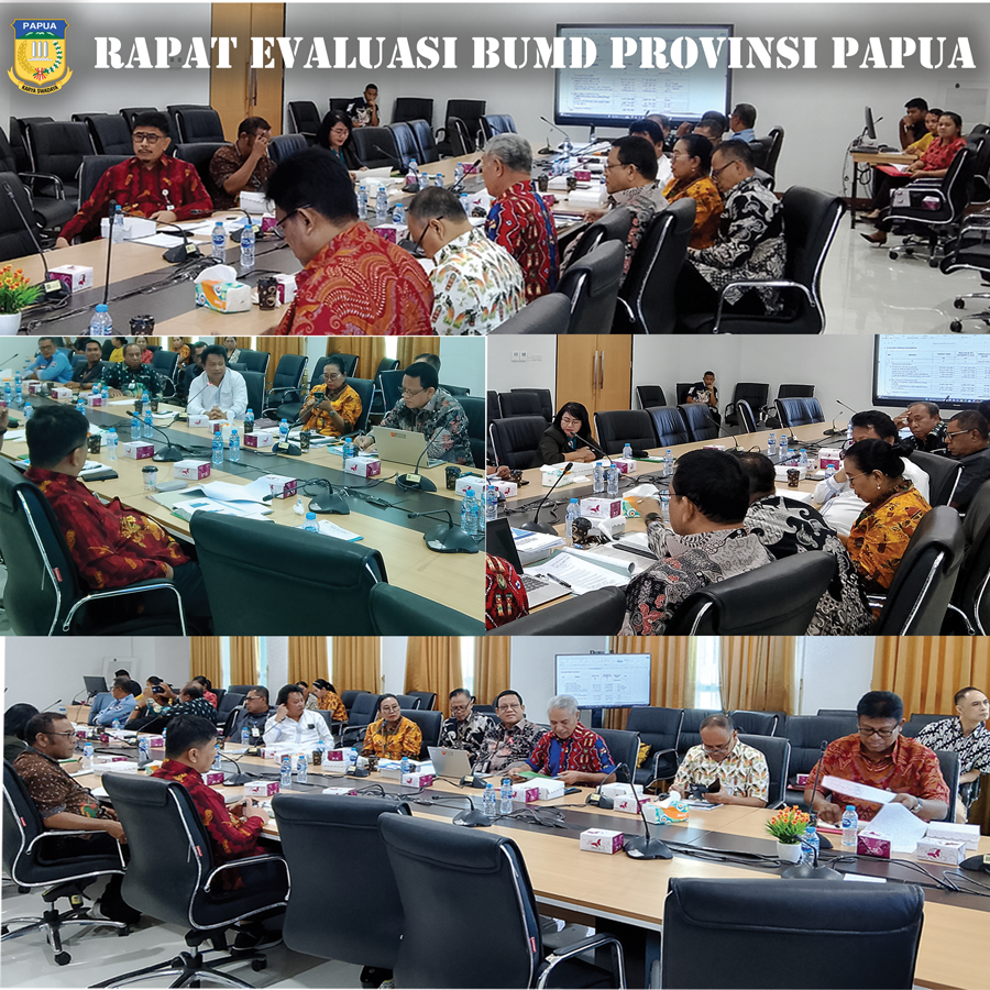 RAPAT EVALUASI BUMD PROVINSI PAPUA